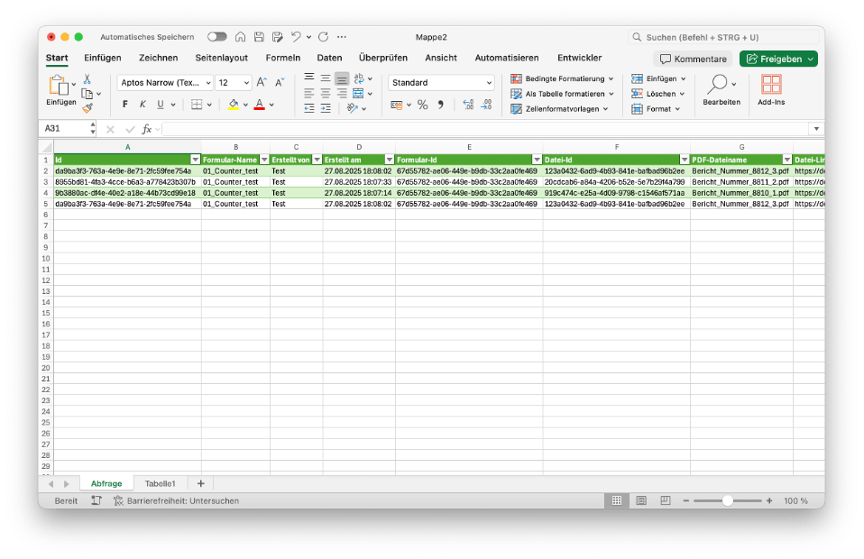 Excel-Tabelle mit geladenen Formulardaten nach dem Herstellen der Verbindung