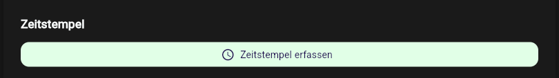Baustein Zeitstempel beim Ausfüllen in der App-Webansicht mit dem Button Zeitstempel erfassen