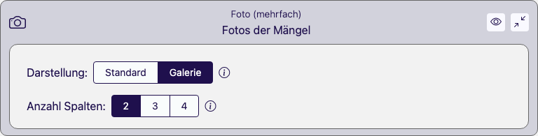 Foto-(mehrfach)-Baustein im Bericht mit der Darstellung-Auswahl Standard/Galerie und der Spaltenwahl Anzahl Spalten 2, 3 oder 4