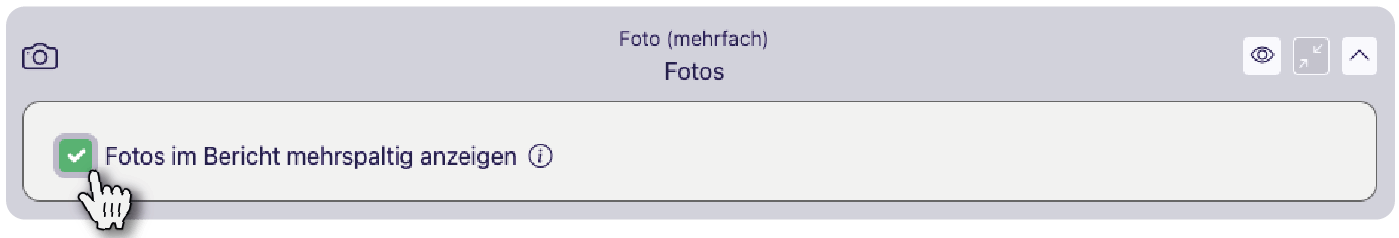 Baustein Foto (mehrfach) mit dem Titel Fotos in den Ausgabeoptionen des PDF-Designers, die Option Fotos im Bericht mehrspaltig anzeigen ist gerade angehakt