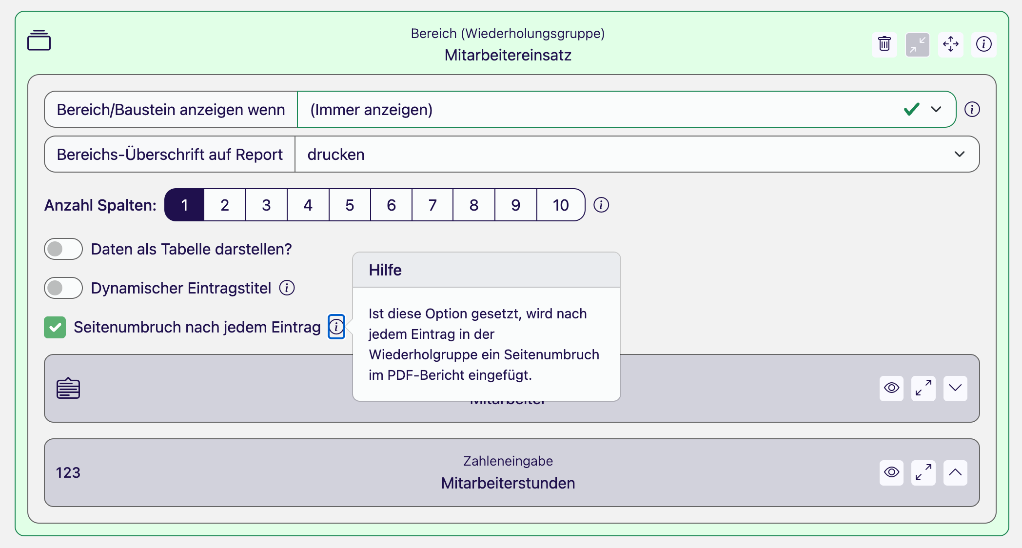 Wiederholungsgruppe Mitarbeitereinsatz im Bericht-Designer mit aktivierter Option Seitenumbruch nach jedem Eintrag und dem geöffneten Hilfe-Hinweis dazu