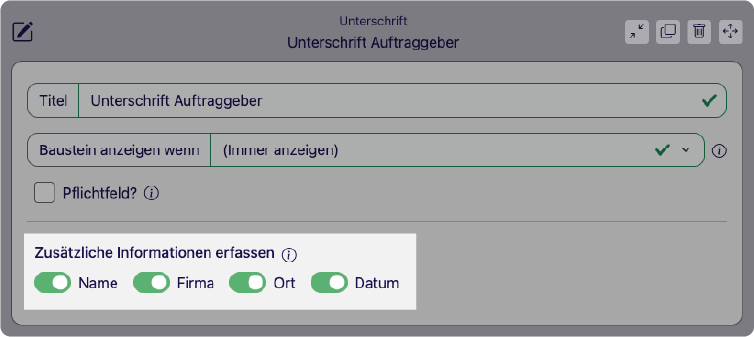 Baustein Unterschrift im Eigenschaften-Panel des Formular-Designers, im Abschnitt Zusätzliche Informationen erfassen sind die Schalter Name, Firma, Ort und Datum eingeschaltet